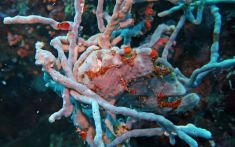 2674542
