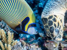 2050793
