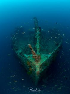 3370565