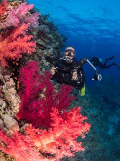 3569780