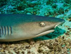 363437