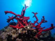 612258