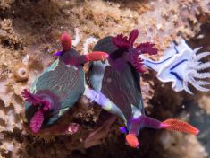 763722