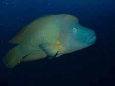 155753