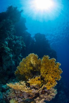1730521