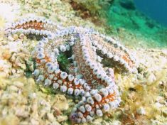 174325