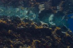 670054