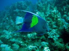 311440
