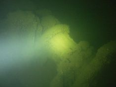277186