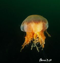 2170058