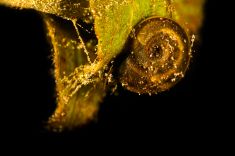 2931742
