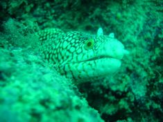 290453
