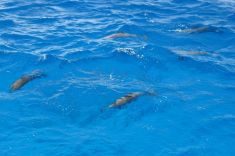 346651